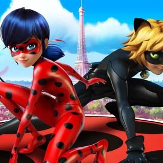 Ladybug PC wallpaper