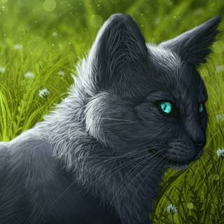 Warrior Cats Bluestar wallpaper