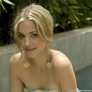 Julie Gonzalo wallpaper