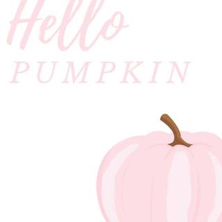 Pink pumpkin wallpaper