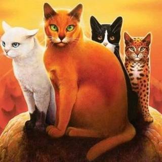 Firestar and Sandstorm wallpaper