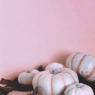 Pink pumpkin wallpaper