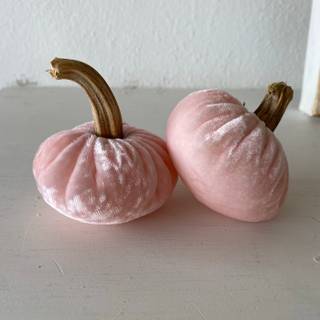 Pink pumpkin wallpaper