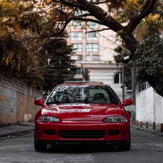 Honda Civic 1995 wallpaper