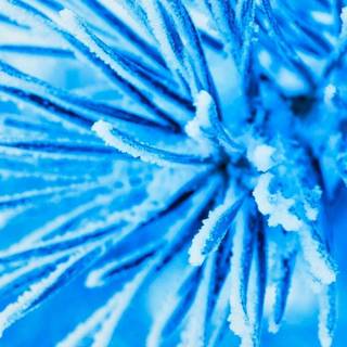 Preppy cozy winter iPad wallpaper