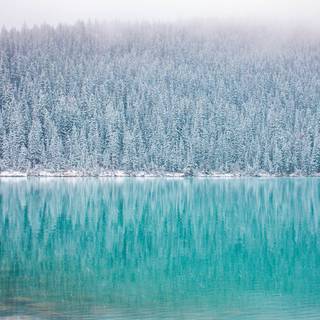 Cute winter iPad wallpaper