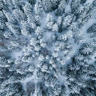 Cute winter iPad wallpaper