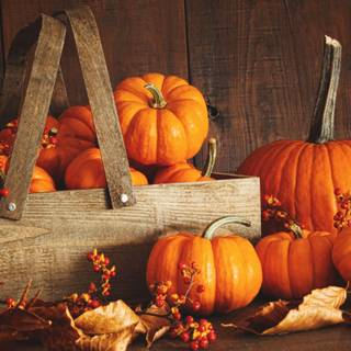 Rustic autumn harvest wallpaper