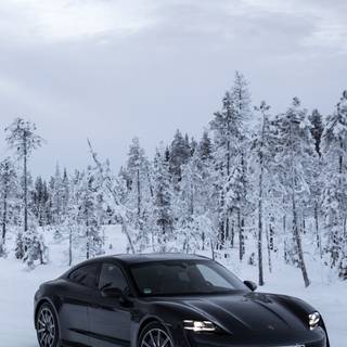 Winter super cars wallpaper