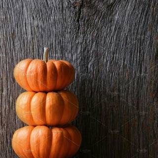 Rustic autumn harvest wallpaper