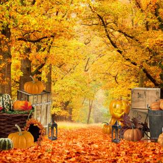 Rustic autumn harvest wallpaper