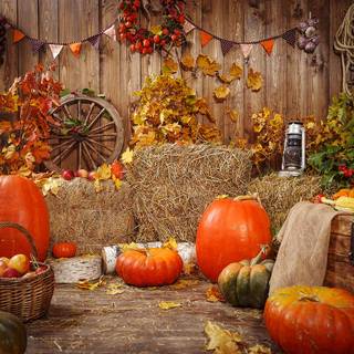 Rustic autumn harvest wallpaper