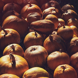 Thanksgiving meal iPhone wallpaper