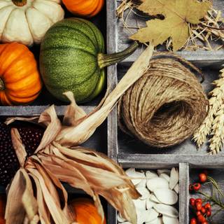 Rustic autumn harvest wallpaper