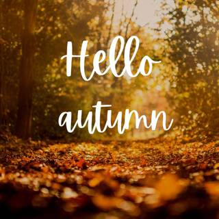 Rustic autumn harvest wallpaper