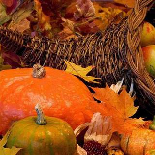 Thanksgiving 1080x1920 wallpaper