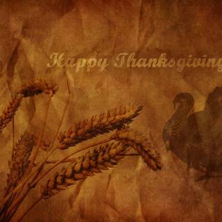 Thanksgiving wheat wallpaper