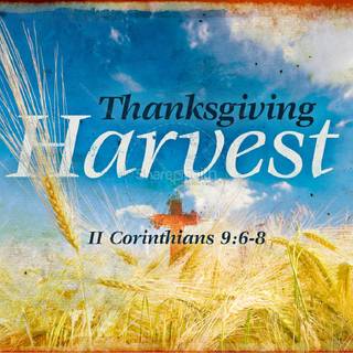 Thanksgiving wheat wallpaper