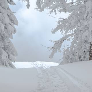 Winter scenes 4k wallpaper