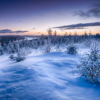 Winter scenes 4k wallpaper