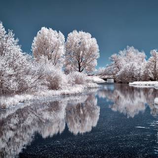 Lake winter scenes wallpaper