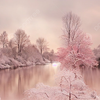 Pink winter sunset wallpaper