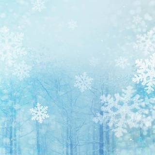 Winter white and blue wallpaper