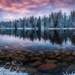 Lake winter forest wallpaper