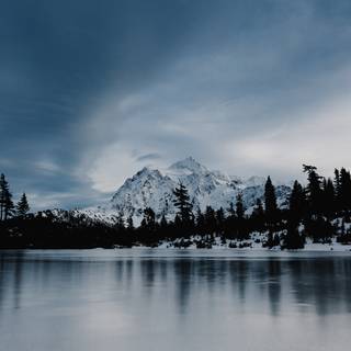 Lake winter forest wallpaper