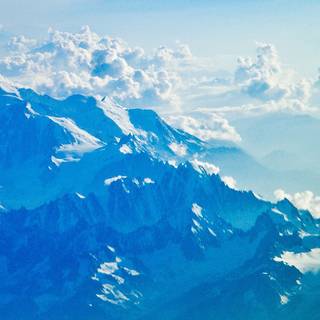 Winter white and blue wallpaper