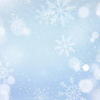 Winter white and blue wallpaper