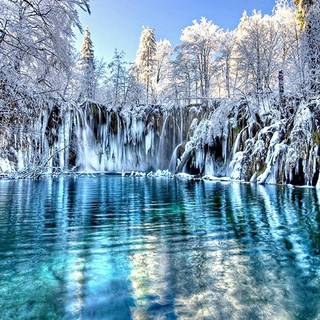 Lake winter forest wallpaper