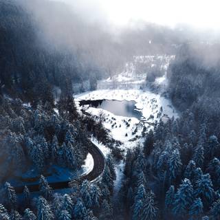 Lake winter forest wallpaper