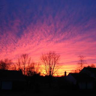 Pink winter sunset wallpaper