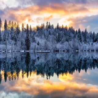 Lake winter forest wallpaper