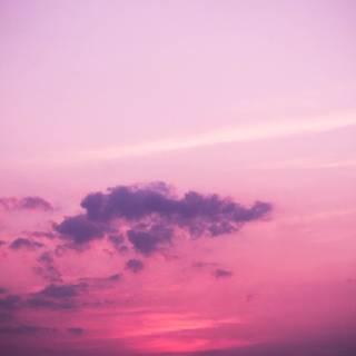 Pink winter sunset wallpaper