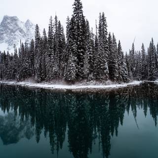 Lake winter forest wallpaper