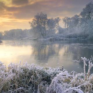 Lake winter forest wallpaper