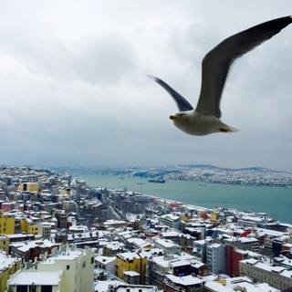 Instanbul winter wallpaper