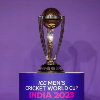 Cricket World Cup India 2023 wallpaper