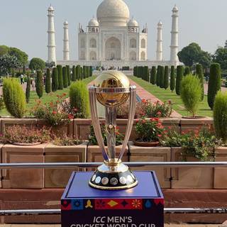 Cricket World Cup India 2023 wallpaper