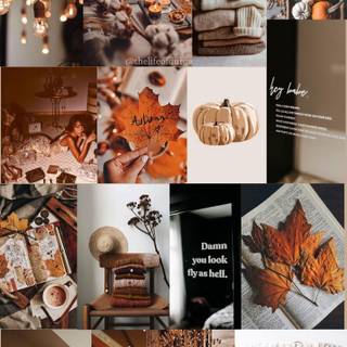 Autumn VSCO girl wallpaper