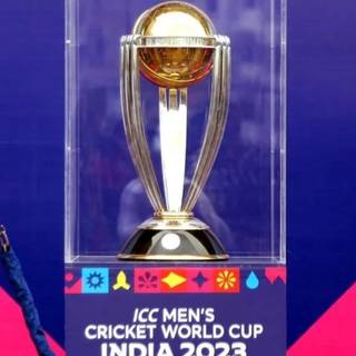 Cricket World Cup India 2023 wallpaper