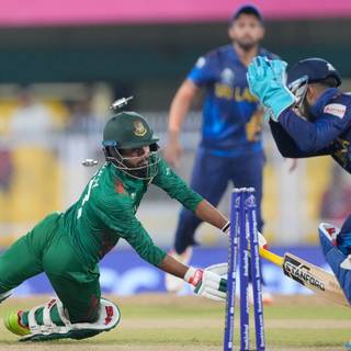 Cricket World Cup India 2023 wallpaper