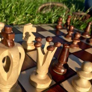 Chess players wallpaper