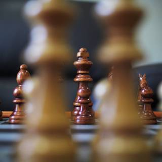 Chess players wallpaper