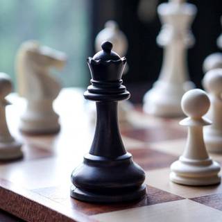 Chess players wallpaper