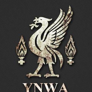 Liverpool FC iPhone wallpaper