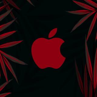 iPhone 14 red wallpaper