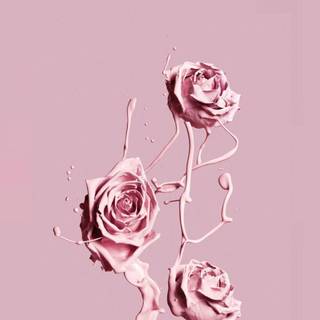 Aesthetic iPhone 13 wallpaper